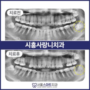 장현동치과