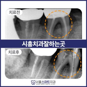 장현동치과